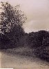 Entrance to farm lane in 1930